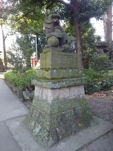 中野氷川神社の狛犬