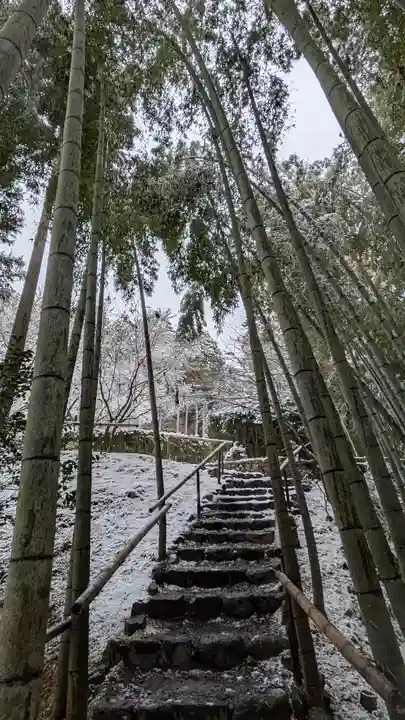 圓光寺(京都府)