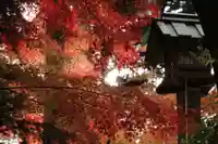 三春大神宮の庭園