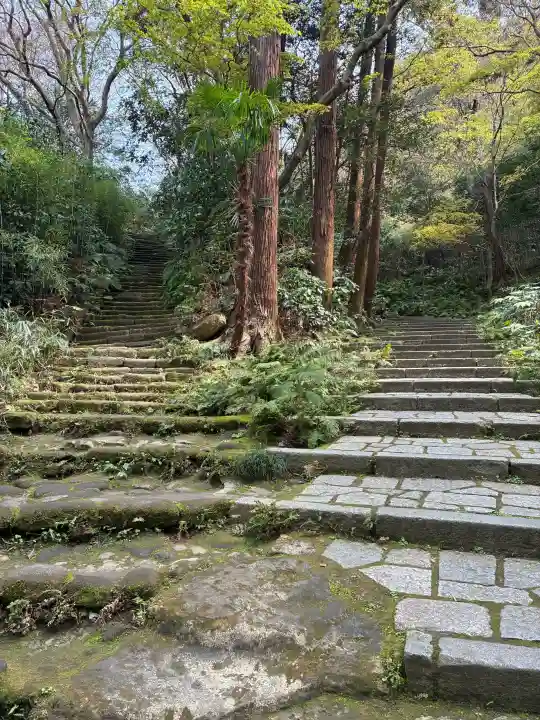 瑞泉寺の{uncategorized: "未分類", other: "その他", undefined: "問題あり", building: "その他建物", grave: "お墓", sacred_gate: "鳥居", guardian: "狛犬", statue: "像", buddha: "仏像", history: "歴史", nature: "自然", garden: "庭園", animal: "動物", pagoda: "塔", temizu: "手水舎", mountain_gate: "山門・神門", sanctuary: "本殿・本堂", subordinate: "末社・摂社", art: "芸術", scenery: "景色", jizo: "地蔵", ema: "絵馬", goshuin: "御朱印", omikuji: "おみくじ", items: "授与品その他", amulet: "お守り", goshuincho: "御朱印帳", eats: "食事", festival: "お祭り", votive_dance: "神楽", shichigosan: "七五三参", wedding: "結婚式", experience: "体験その他", initially: "初詣", around: "周辺", anti_infection: "感染症対策"}