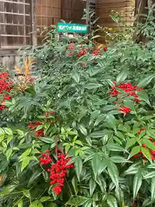 国上寺(新潟県)(2024年12月11日(水) 12時33分38秒投稿)