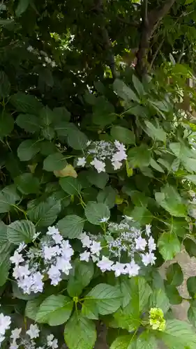 和光寺(大阪府)