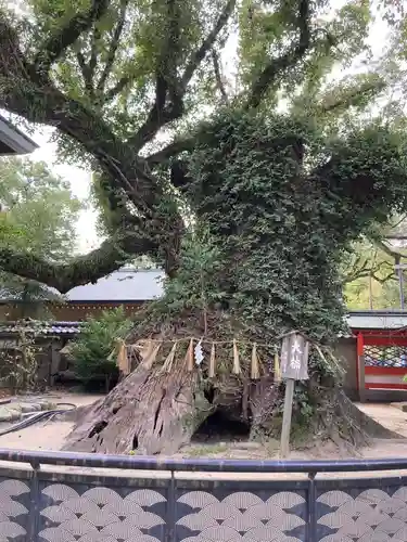 筥崎宮(福岡県)
