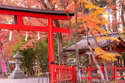 大原野神社(京都府)