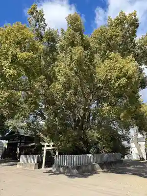 金岡神社(大阪府)