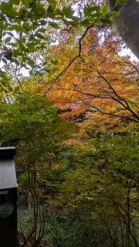 神護寺(京都府)