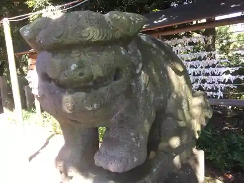 菊田神社の狛犬