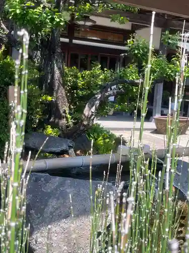 妙蓮寺(神奈川県)