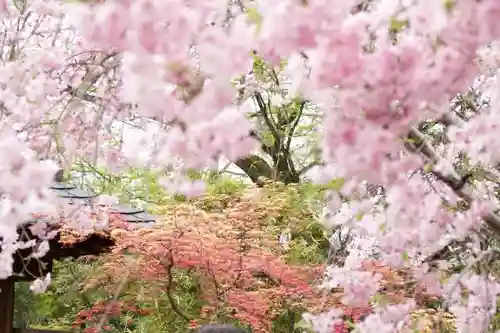 大法院の自然