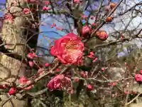 北野天満宮(京都府)