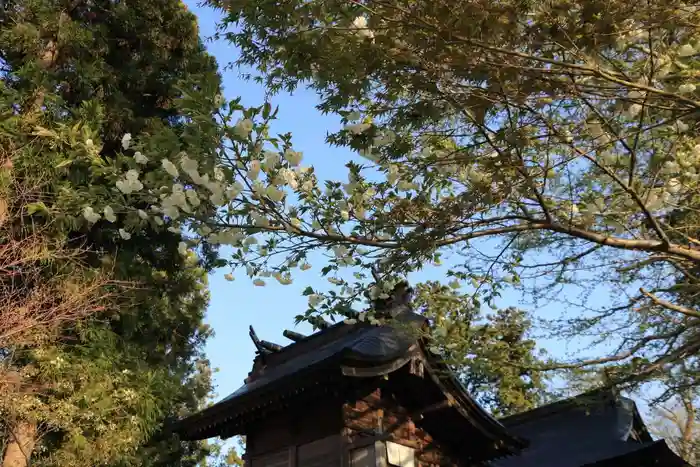 諏訪神社の本殿