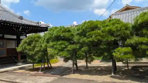 称念寺(京都府)