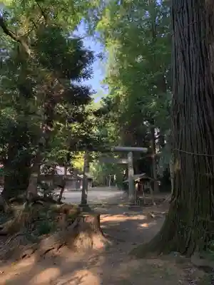星宮神社(千葉県)