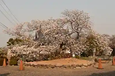 実報寺(愛媛県)