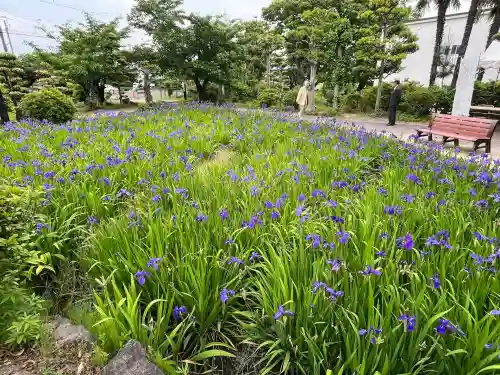 無量寿寺(愛知県)