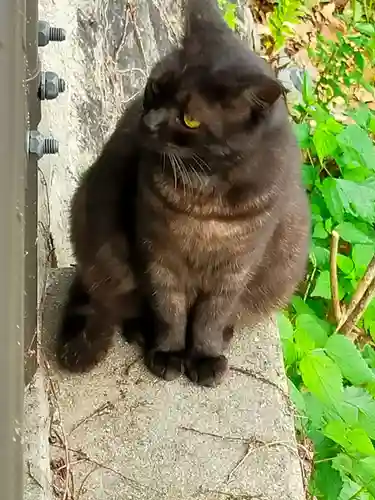 千光寺(広島県)