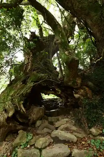 大山祇神社(愛媛県)