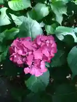 筥崎宮(福岡県)