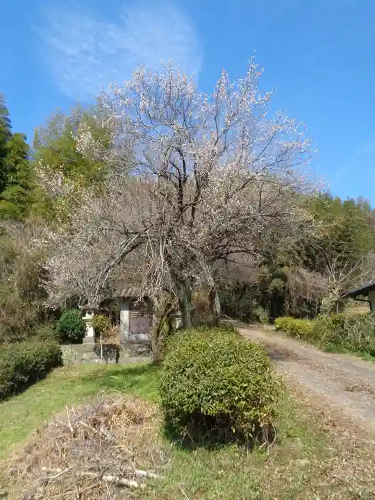 竹崎神社跡(熊本県)