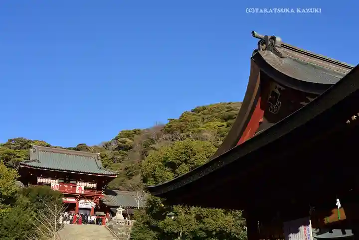 鶴岡八幡宮(神奈川県)