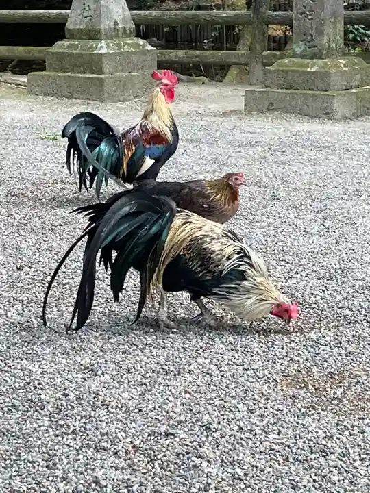 石上神宮(奈良県)