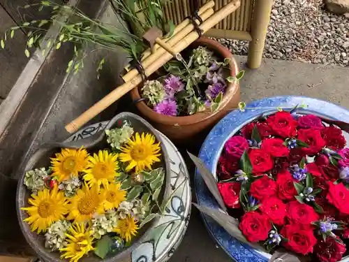 多賀神社の手水