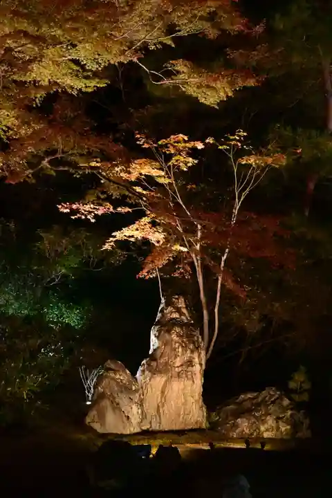 宝厳院(京都府)