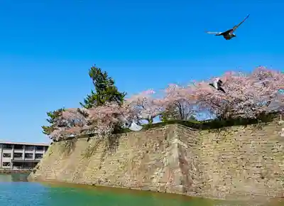福井神社(福井県)