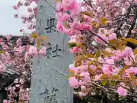 守りの神 藤基神社(新潟県)