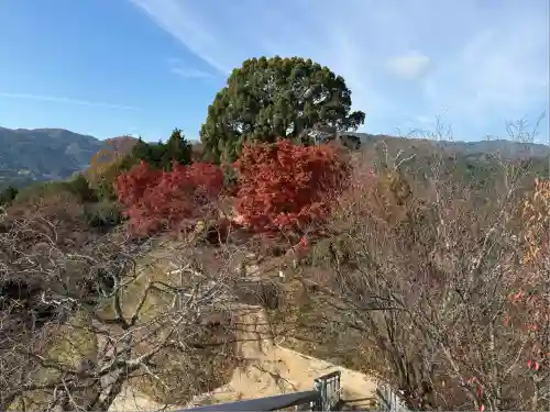 金刀比羅神社(岡山県)