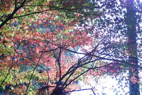 仁和寺(京都府)