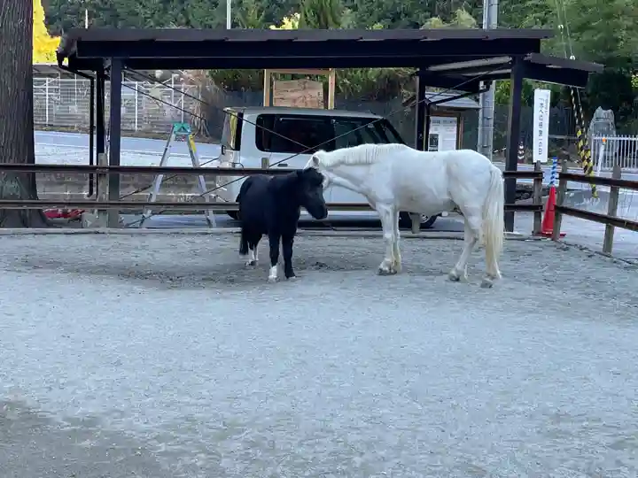 丹生川上神社(下社)(奈良県)