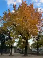 益気神社(兵庫県)