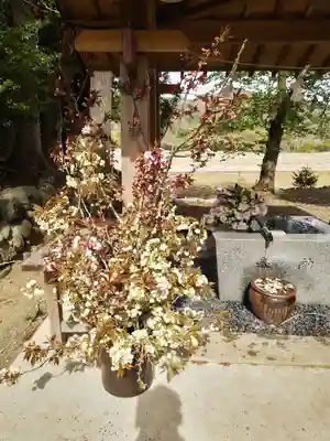 高司神社〜むすびの神の鎮まる社〜(福島県)