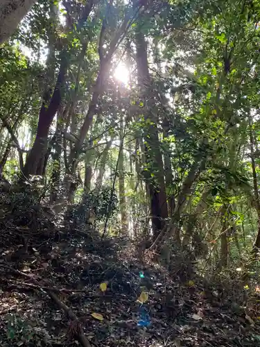 月夜見神社の自然