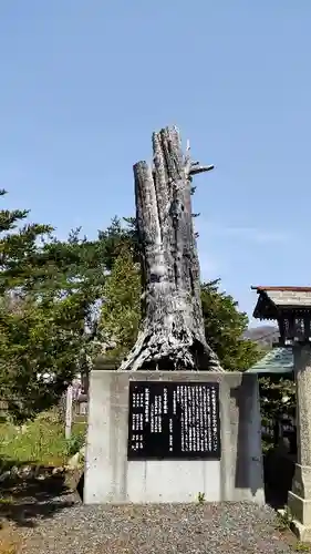 蘆別神社の自然