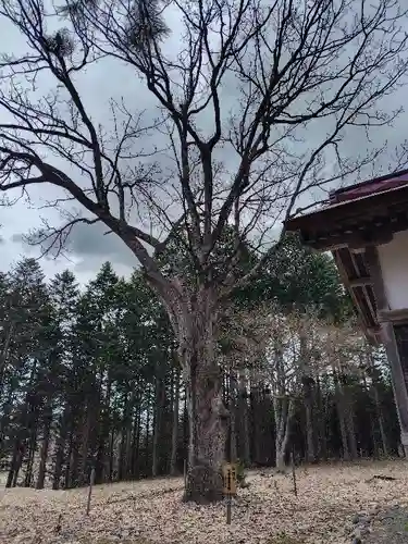 稲荷神社(北海道)