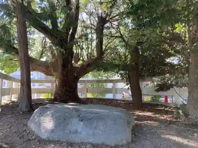 鎌倉宮のその他建物