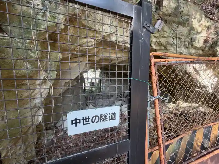 稱名寺の{uncategorized: "未分類", other: "その他", undefined: "問題あり", building: "その他建物", grave: "お墓", sacred_gate: "鳥居", guardian: "狛犬", statue: "像", buddha: "仏像", history: "歴史", nature: "自然", garden: "庭園", animal: "動物", pagoda: "塔", temizu: "手水舎", mountain_gate: "山門・神門", sanctuary: "本殿・本堂", subordinate: "末社・摂社", art: "芸術", scenery: "景色", jizo: "地蔵", ema: "絵馬", goshuin: "御朱印", omikuji: "おみくじ", items: "授与品その他", amulet: "お守り", goshuincho: "御朱印帳", eats: "食事", festival: "お祭り", votive_dance: "神楽", shichigosan: "七五三参", wedding: "結婚式", experience: "体験その他", initially: "初詣", around: "周辺", anti_infection: "感染症対策"}