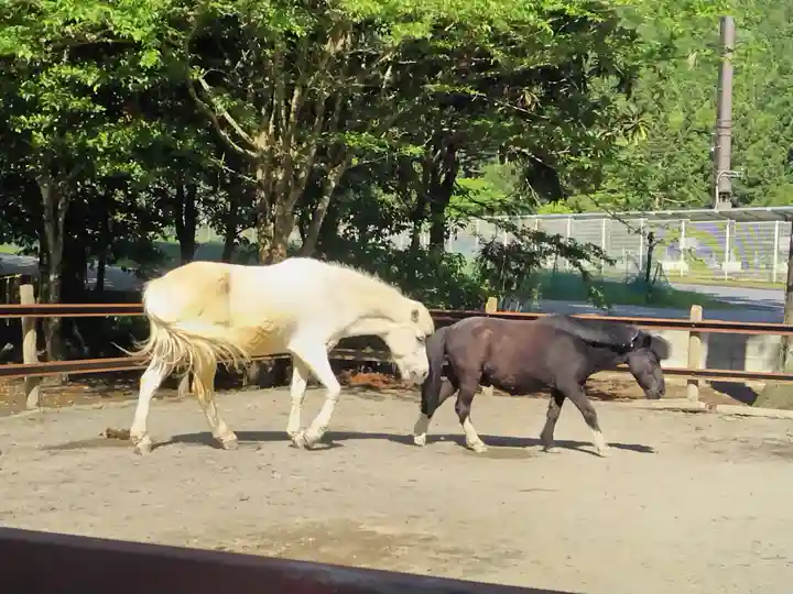 丹生川上神社(下社)(奈良県)