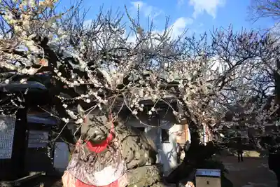北野天満宮(京都府)