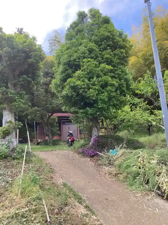 龍雲寺(神奈川県)