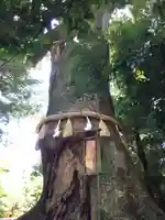 松阪神社(三重県)