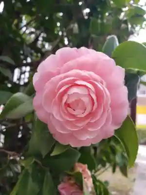 永昌寺(東京都)