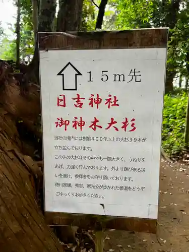 日吉神社(千葉県)