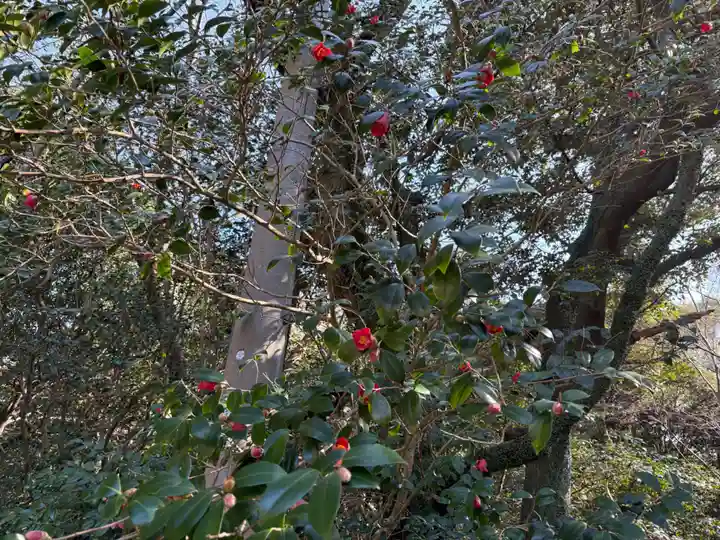 大龍寺(兵庫県)