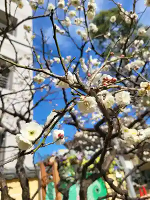 法輪寺(東京都)