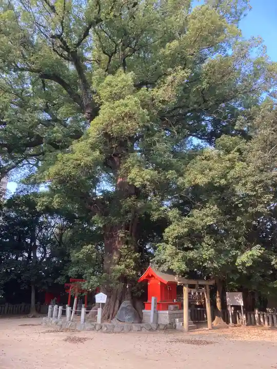 一宮神社の自然