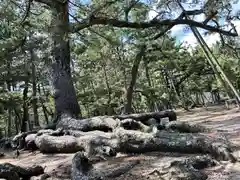 石清水神社(香川県)