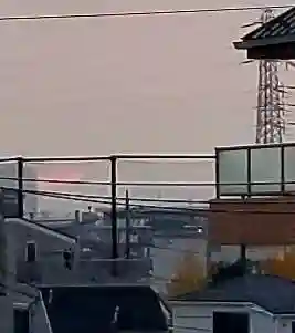 葛飾氷川神社の周辺